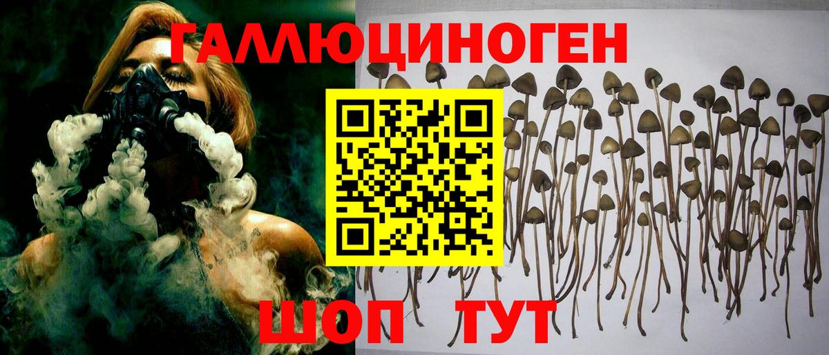 Томск  Галлюциногенные грибы Psilocybine cubensis  Вход с VPN  Галлюциногенные грибы Magic Shrooms 