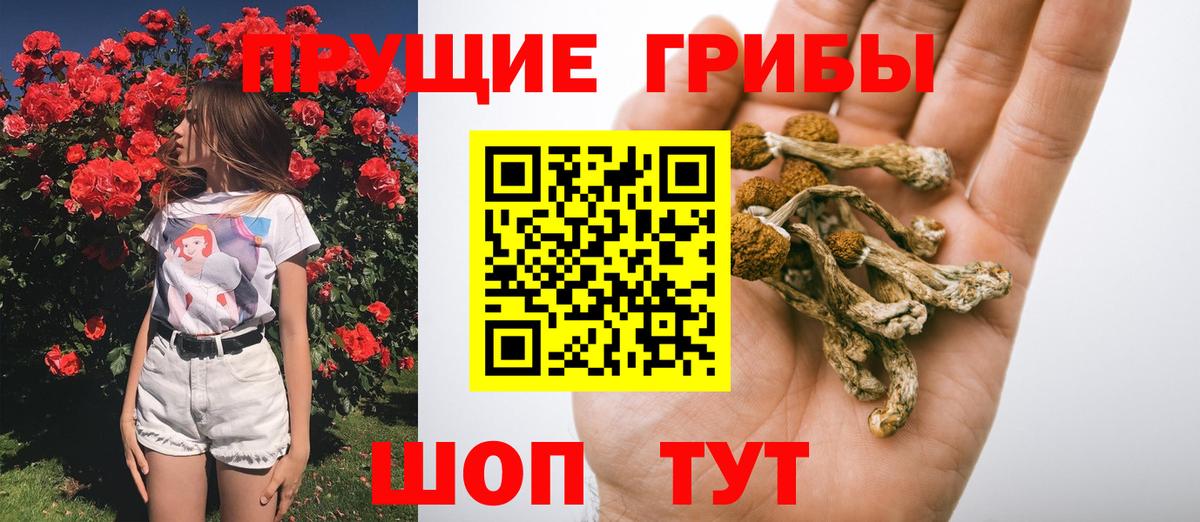 Псилоцибиновые грибы ЛСД Томск
